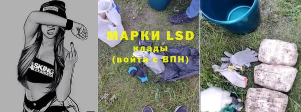 тгк Армянск