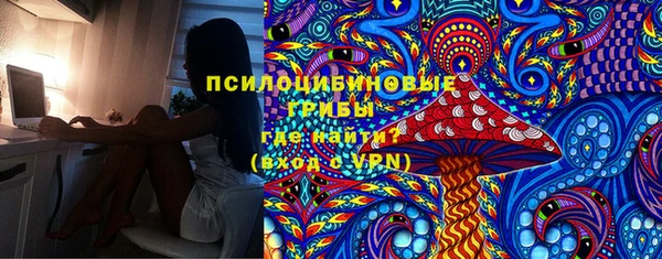 PSILOCYBIN Арсеньев