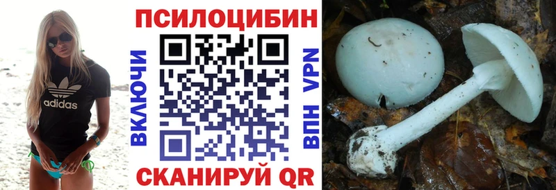 omg ссылка  где можно купить наркотик  Полевской  Псилоцибиновые грибы Psilocybe 