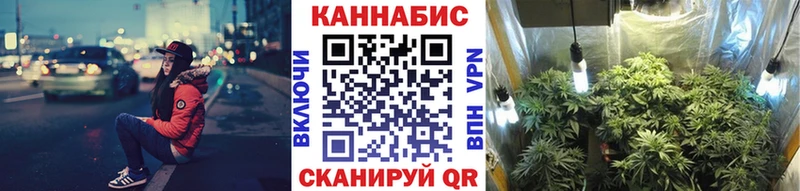 МЕГА ссылка  наркотики  Полевской  Канабис сатива 
